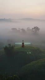 Code & Consciousness