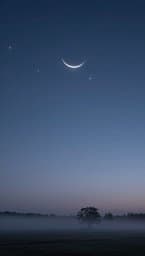 Moonlit Dreams