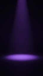Velvet Shadows