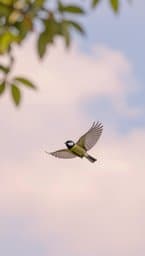 Fly Little One