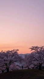 夜明けの向こう