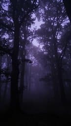 Echoes of Silence