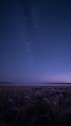 Starlit Rural Solitude