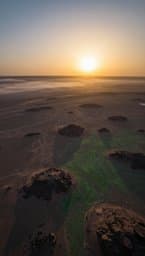 Desert Dawn
