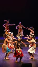 Rhythmic Awakening