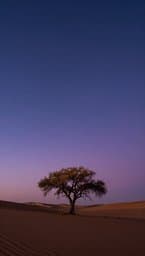 Ephemeral Shade