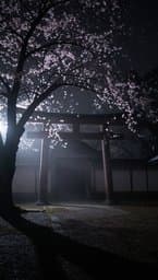 Shadowed Sakura
