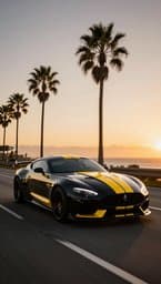 Black and Yellow Anthem