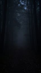 Nightmare Chaser
