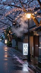 Tokyo Rainy Afternoon
