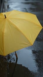 Yellow-Top Umbrella