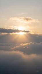 Omid: Hope