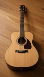 Fretted Home