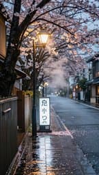 Tokyo Rainy Afternoon