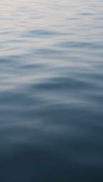 Silent Waves