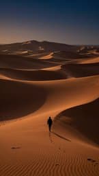 Desert Shadow Chase