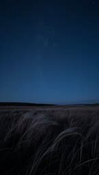 Starry Night Solitude