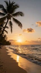 Island Breeze