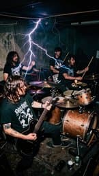 Ligua Heat