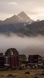 Andean Mist