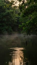 Solitary Dip