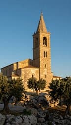 Shajare Taybeh