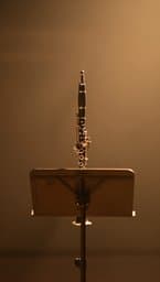 Bare Woodwind