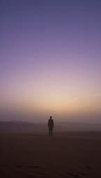 The Temporary Journey