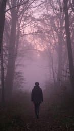 Faded Echoes