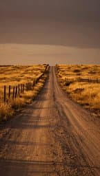 Roadside Memories