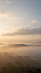 Echoes of the Horizon