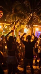 Festa Tropical