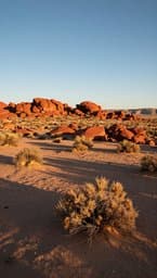 Ransacking Arizona