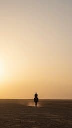 Beyond the Horizon