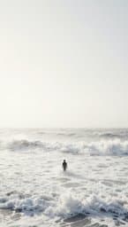 White Wave