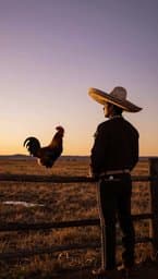 El Saludo del Gallo