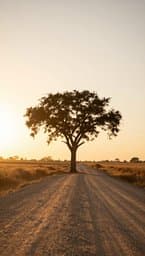Quiet Roads