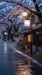Tokyo Rainy Afternoon
