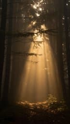 Bringing the Light