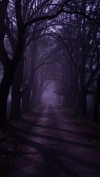 Shadows within