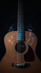 The Vibrating String