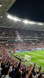 Estadio En Furia