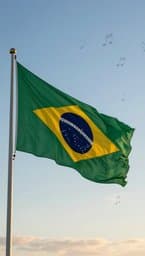 Direitos na Constituição
