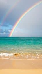 Sunshine Rainbows