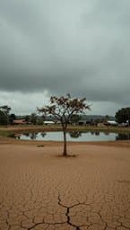 වර්ෂා නුඹනාවේ ඇයි (Why Have You Not Come, Rain)