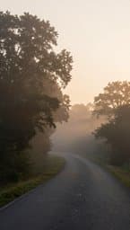Summer's Fading Echoes