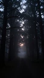Shadows Rising