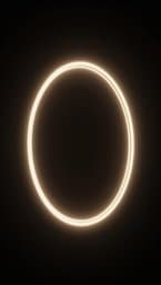 Static Loop