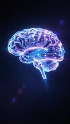 Mind Curiosity