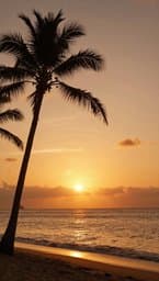 Island Vibes